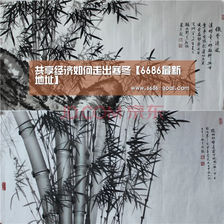 共享经济如何走出寒冬【6686最新地址】(图2) 6686最新地址