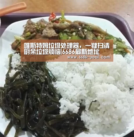 唯斯特姆垃圾处理器,一键扫清厨余垃圾烦恼|6686最新地址(图2) 6686体育
