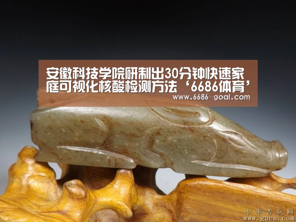 6686篮球竞猜