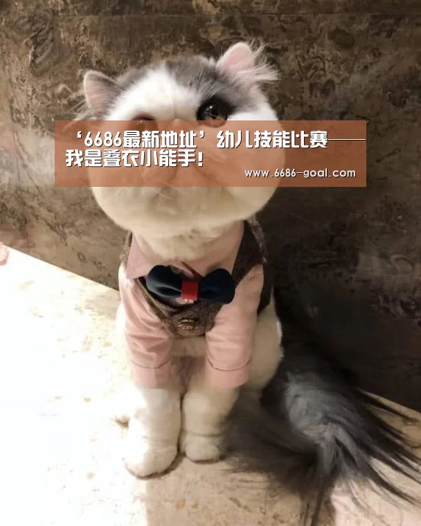 ‘6686最新地址’幼儿技能比赛——我是叠衣小能手!(图1) 6686篮球竞猜