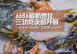 6686最新地址_三幼党支部开展“不忘初心,牢记使命”主题教育活动(图2) 6686体育